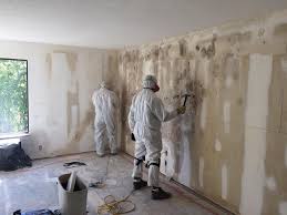 Best Residential Mold Inspection & Testing  in East Newark, NJ